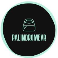 PalindromeVR logo - Similar company to Pinplus Ag