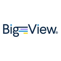 Bigview Analytics logo - Similar company to Reune - Red De Egresados Empresarios De La Universidad Nacional De Colombia