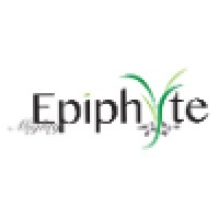 Mighty Epiphyte | Impacts Coach | B CorpGuide  & Benefit Reporting logo - Similar company to Construct The Present (Certified B Corp)