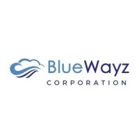 BlueWayz Corporation logo - Similar company to Vecmar