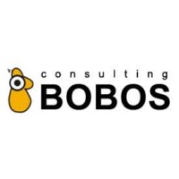 Bobosconsulting logo - Similar company to Linkconsulting
