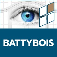 Battybois logo - Similar company to Bitethepixel