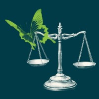 Accountability Accelerator logo - Similar company to Science Based Targets Network (Sbtn)