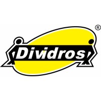 Dividros logo - Similar company to Fractal Investimentos