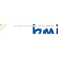 BMI-Business-Management-Innovation logo - Similar company to Clicher