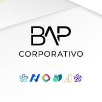 BAP Corporativo logo - Similar company to Adok