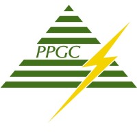 PPN Power Generating Company Private Limited logo - Similar company to Opg Power Generation Private Limited