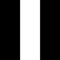 Skunk Works Group logo - Similar company to Nett7
