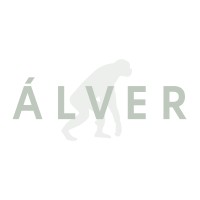 Álver Consultores logo - Similar company to Kando Events