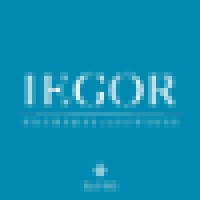 IEGOR logo - Similar company to Cupido