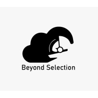 Beyond Selection logo - Similar company to Inno.Dev