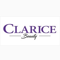 Clarice Group logo - Similar company to Dan Group