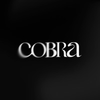 Agência Cobra logo - Similar company to Agência Magui