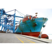 CUSTOM CLEARING AGENT IN DUBAI logo - Similar company to Vardhman Custom Clearing And Forwarding Agents