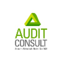 Audit Consult logo - Similar company to Audit-Nrw