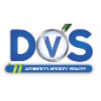DVS Global Services logo - Similar company to Dvs Global