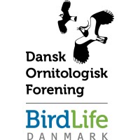 DOF BirdLife (Dansk Ornitologisk Forening) logo - Similar company to Fugleværnsfonden