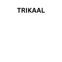 Trikaala logo - Similar company to Willard Industries