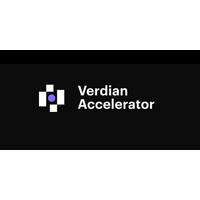 Verdian Accelerator logo - Similar company to Buzzword, Inc.