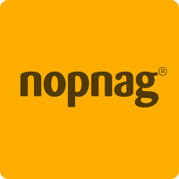 Nopnag Studios logo - Similar company to Project Chiefs