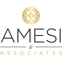 AMESI & ASSOCIATES logo - Similar company to G&A Professional Services