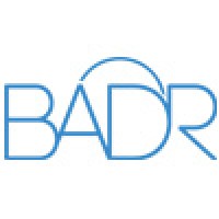 BADR (Acquired by Incorta) logo - Similar company to Globisoft