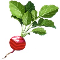 Radish logo - Similar company to Flakeguard (Open Source)