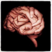Mn Concussion And Chiropractic Arts