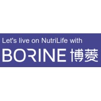 PT. BORINE TECHNOLOGY INDONESIA logo - Similar company to Flashee