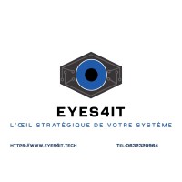Eyes4IT logo - Similar company to Nicodel Consulting