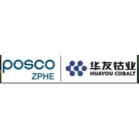 Zhejiang Puhua New Energy Material Co. Ltd logo - Similar company to Intercus Distrifar