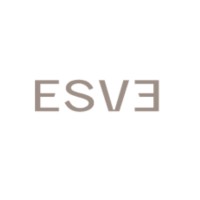 ESVE GROUP logo - Similar company to Omnidata Technologies