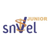 SNVEL Junior Lyon logo - Similar company to Snvel Junior Alfort