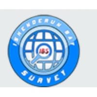 ISKENDERUN BAY SURVEY logo - Similar company to Adestina