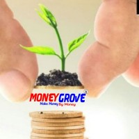 MONEYGROVE logo - Similar company to Strc Gadchiroli