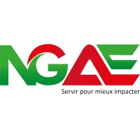 NGAE logo - Similar company to 2Fconsulting Sarl