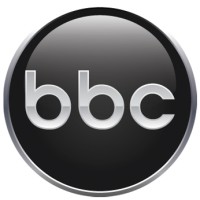 Brian Baccus Consulting logo - Similar company to Get It Right Solutions