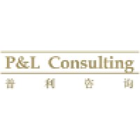 普利咨询 P&L Consulting Co. Ltd logo - Similar company to Coconft (Acquired By Metaverse Group)