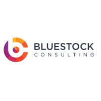 Bluestock Consulting LLC logo - Similar company to Bluestock
