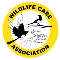 Wildlife Care Association logo - Similar company to Uc Davis Department Of Civil & Environmental Engineering
