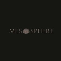 Mesosphere Group logo - Similar company to European Polytechnical University