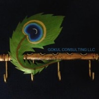 Gokul Consulting LLC logo - Similar company to Anjanaire Technologies