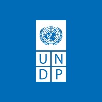 UNDP Moldova logo - Similar company to Delucru.Md