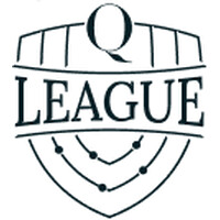 Qleague logo - Similar company to Epsilon.Nu