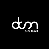dsm group logo - Similar company to Dsm Group