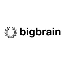 bigbrain ai logo - Similar company to Bigbrain Llc