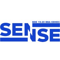 BDE SENSE logo - Similar company to Borrowlend