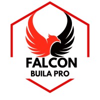 Falcon Buila PRO logo - Similar company to Wellmets | Systems Medicine