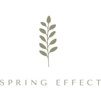 Spring Effect logo - Similar company to Brandbase