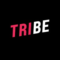 Tribe Inc. logo - Similar company to Engivio Inc.